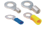 Terminal series